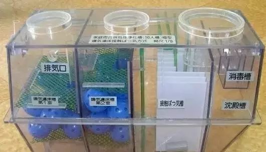 老哥俱乐部环保