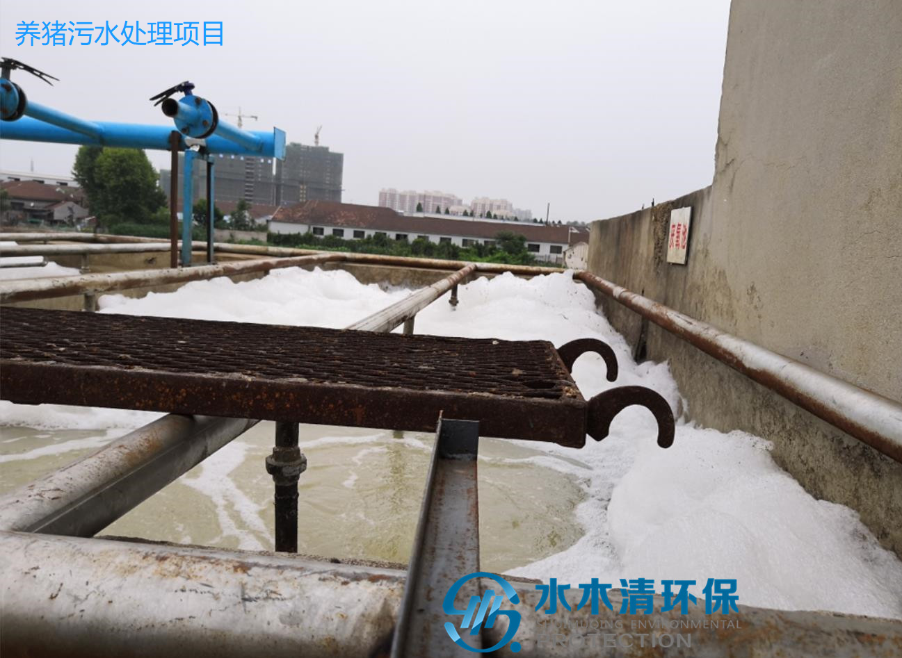 养猪场省钱高效的污水处置惩罚要领